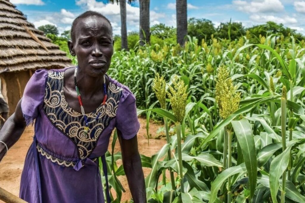 Ugandan woman standing in a maize field with traditional grass-thatched huts in the background.