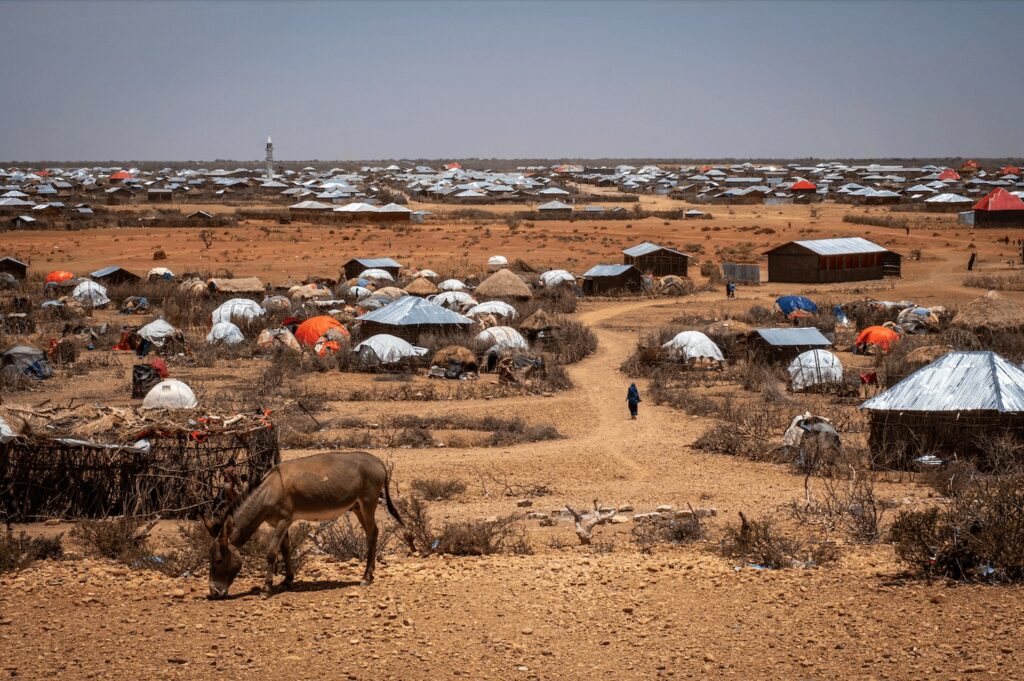 Temporary nomadic settlement with tents and makeshift homes in a dry, arid landscape, featuring a lone cow grazing and sparse vegetation, illustrating urgent humanitarian needs in a crisis area.