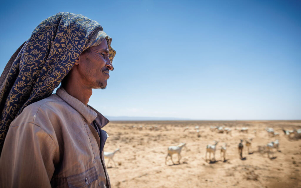Een oudere Somalische man met traditionele hoofddoek kijkt uit over een droog, dor landschap met grazende kamelen op de achtergrond, wat de ernstige droogtecrisis in de regio benadrukt.